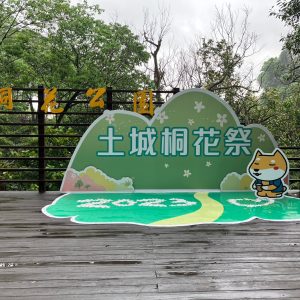 2026土城桐花祭