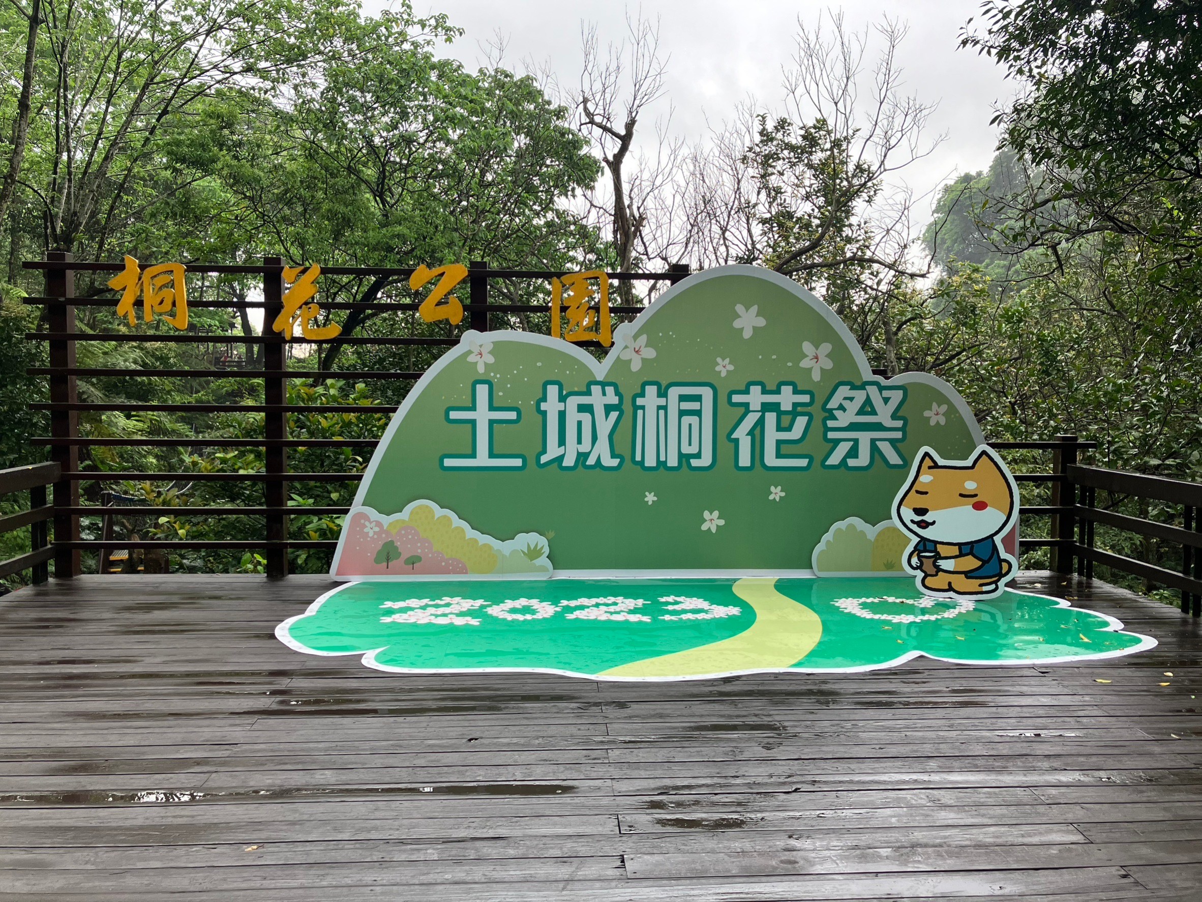 2026土城桐花祭